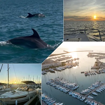 Les Kikous Διαμέρισμα