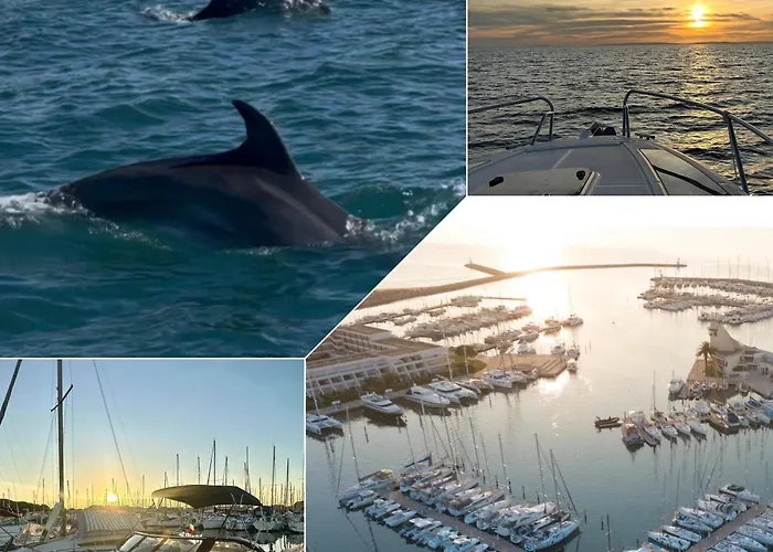 Les Kikous Διαμέρισμα